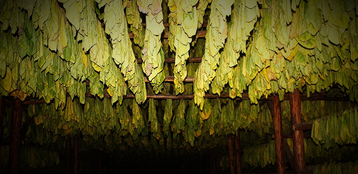 Felix Assouline Cigars