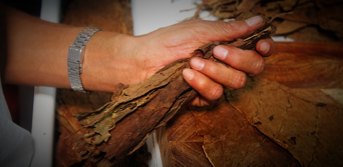 Felix Assouline Cigars